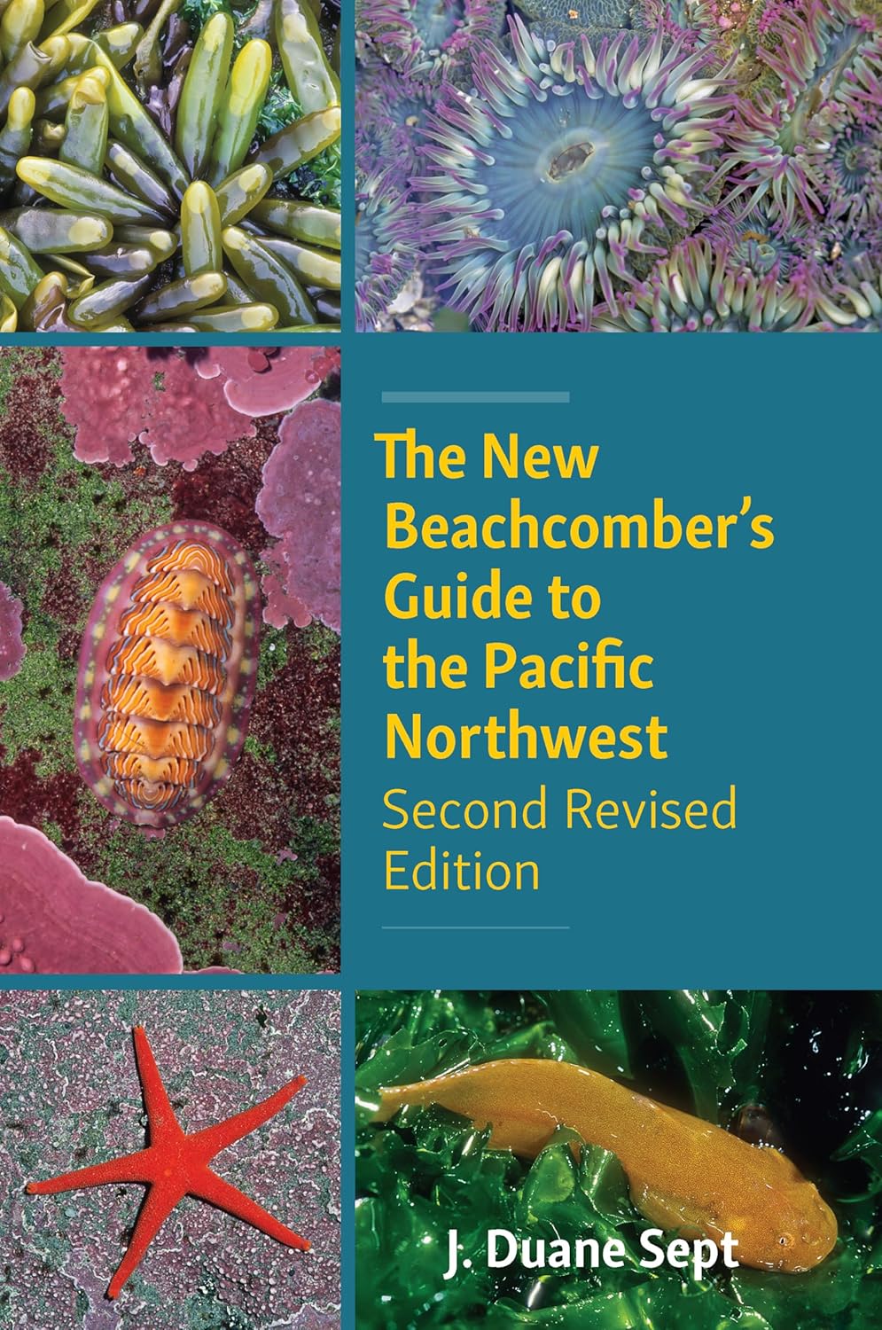New Beachcomber's Guide to the Pacific Northwest: 2nd Edition (2024)