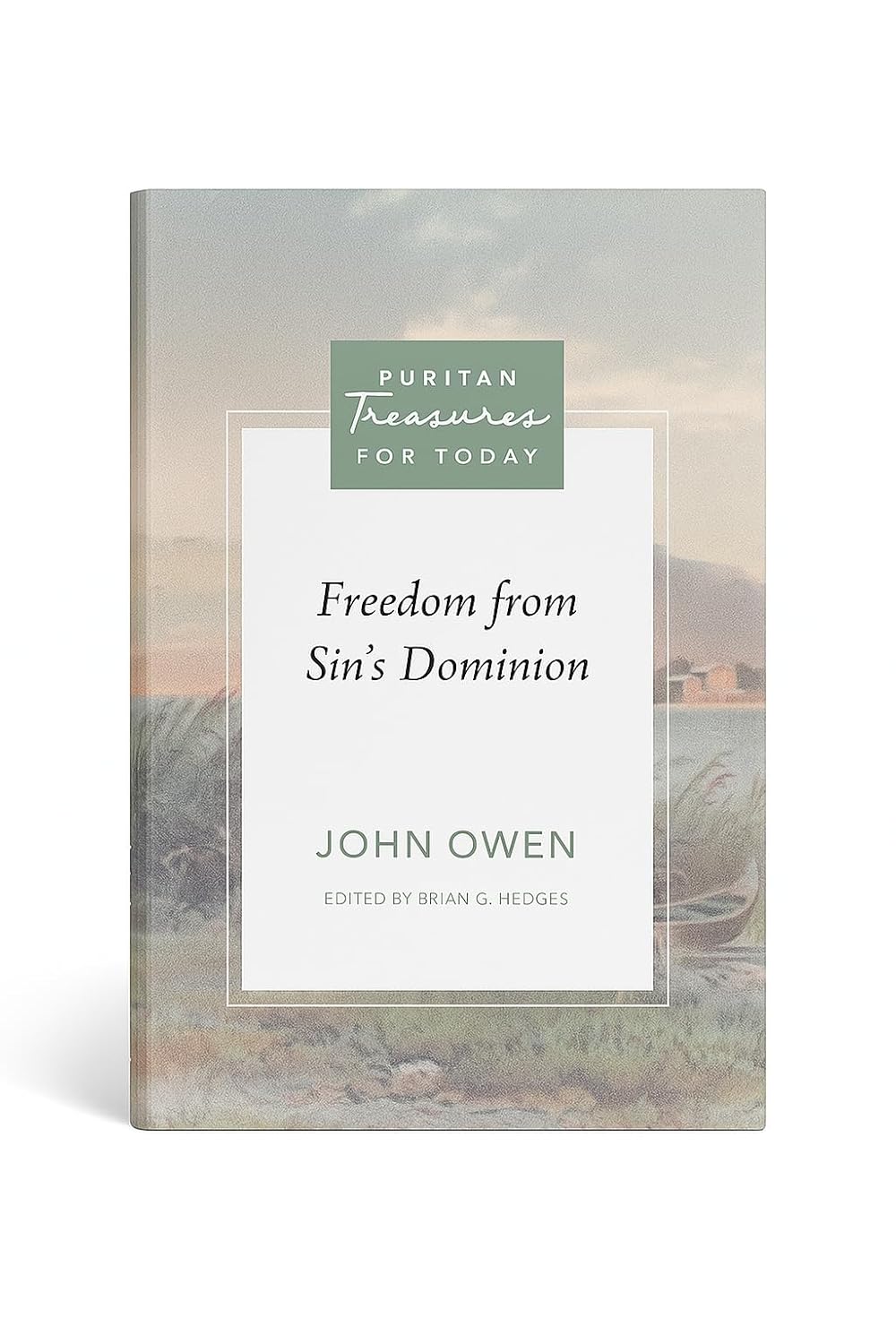 Freedom from Sin's Dominion (Owen - paperback)