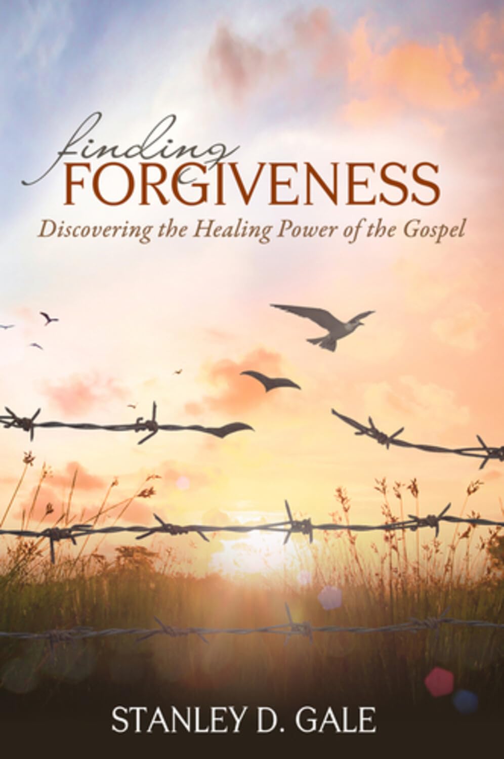 Finding Forgiveness (Gale)
