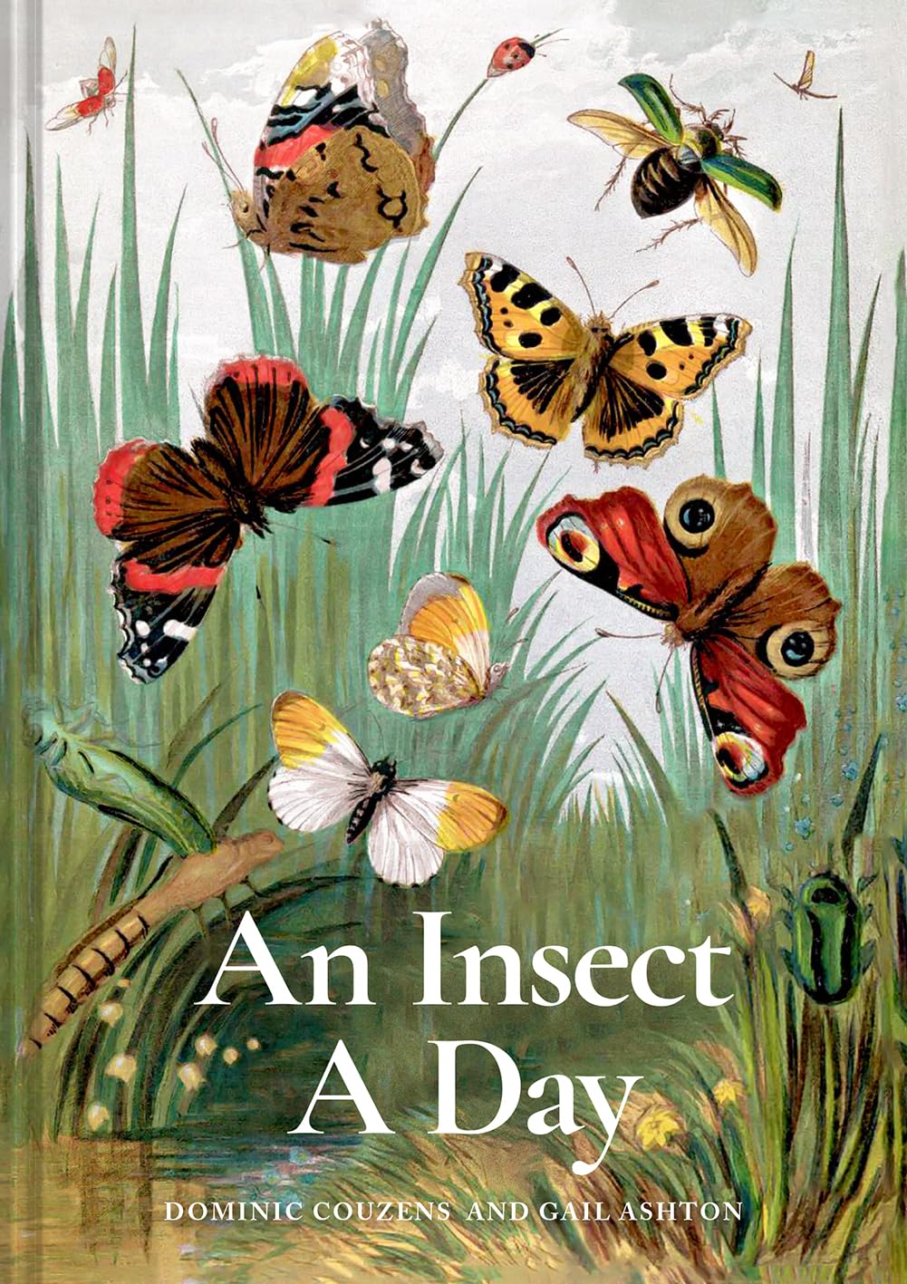 Insect A Day (Couzens - hardcover)