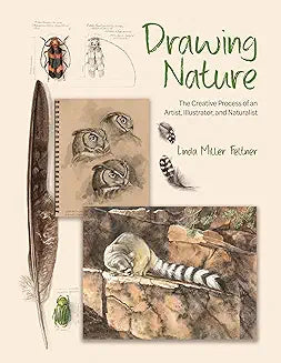 Drawing Nature (Feltner - hardcover)