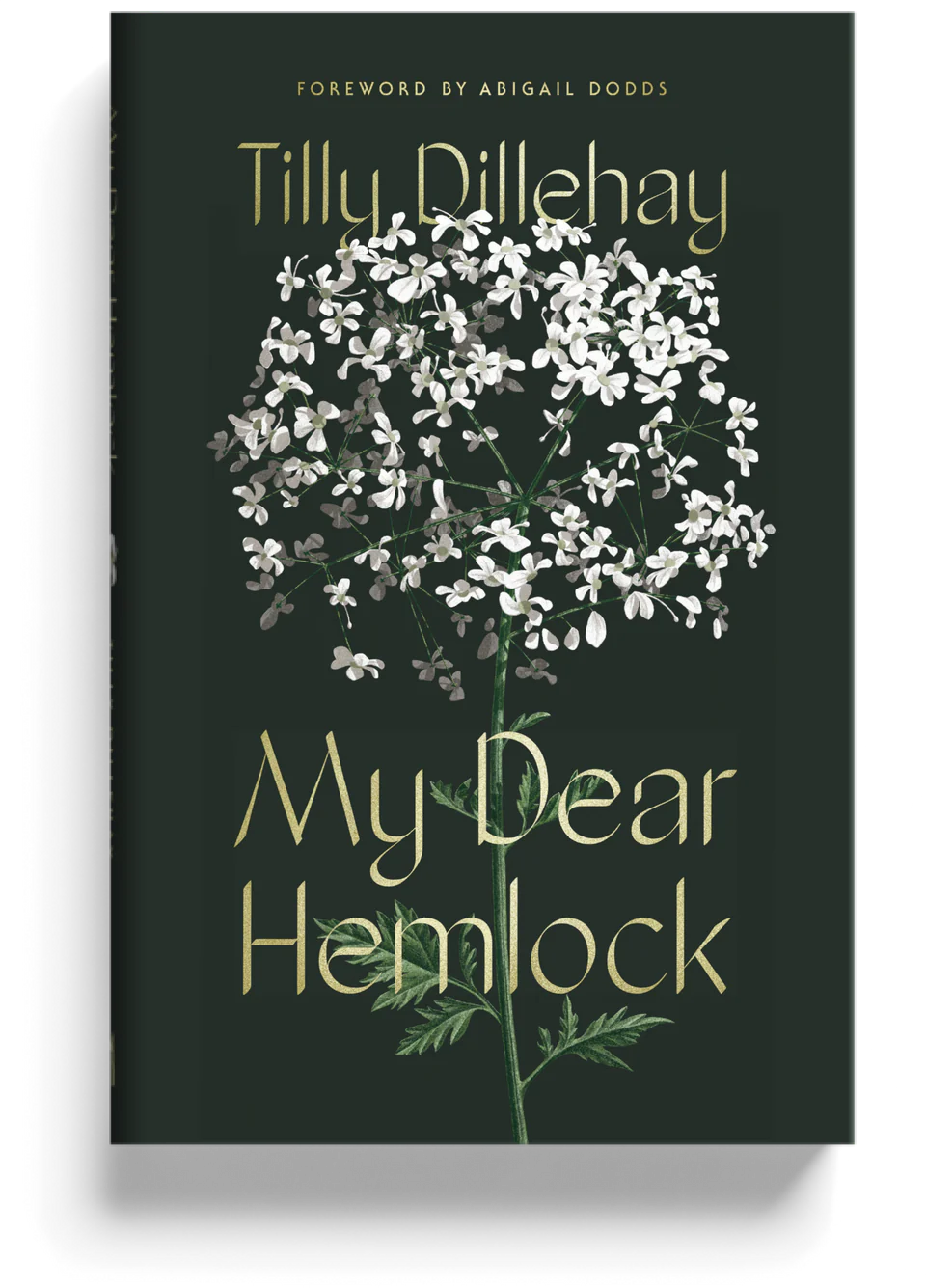 My Dear Hemlock (Dillehay)
