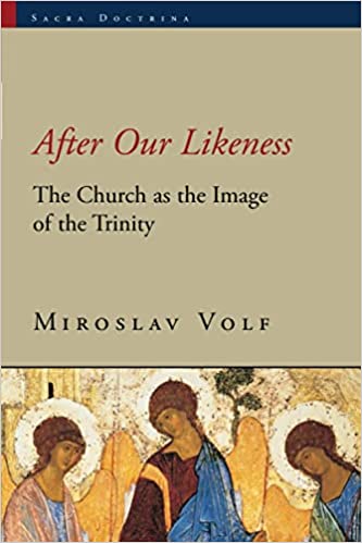 After Our Likeness (Volf - paperback)
