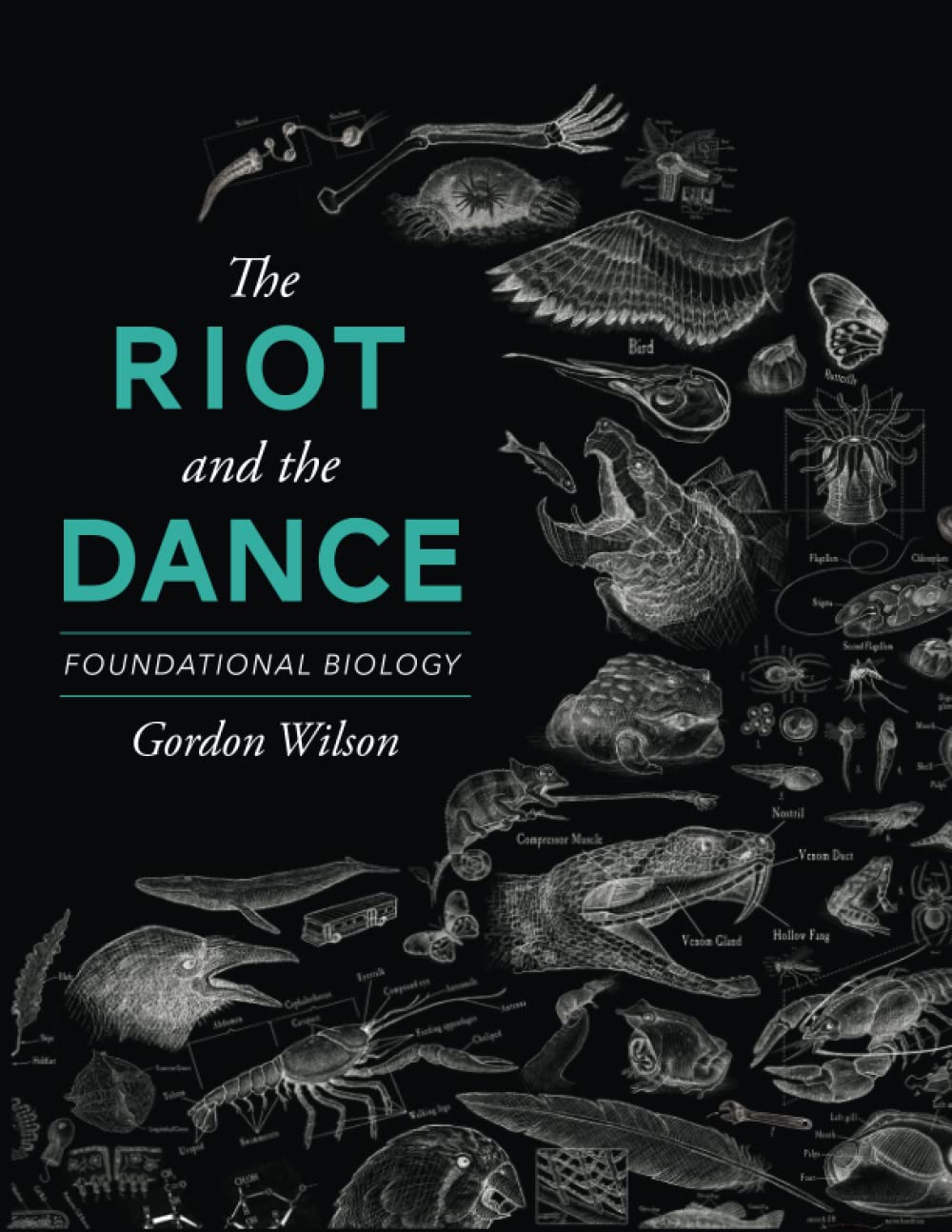 Riot and the Dance: Textbook (Wilson - hardcover)