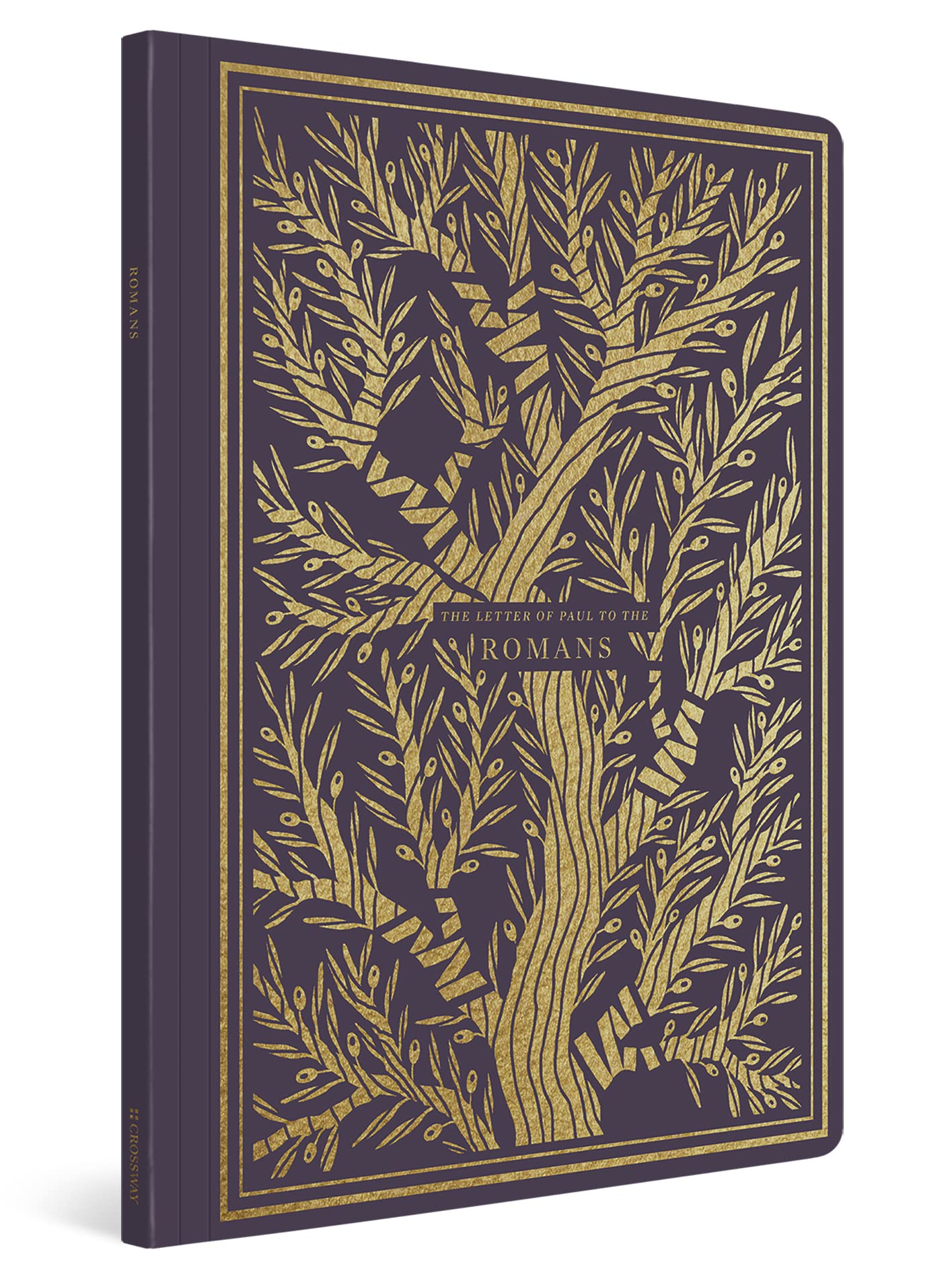Romans (ESV Illum. Scripture Journal)