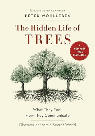 Hidden Life of Trees (hardcover)