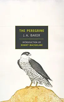 Peregrine (Baker)