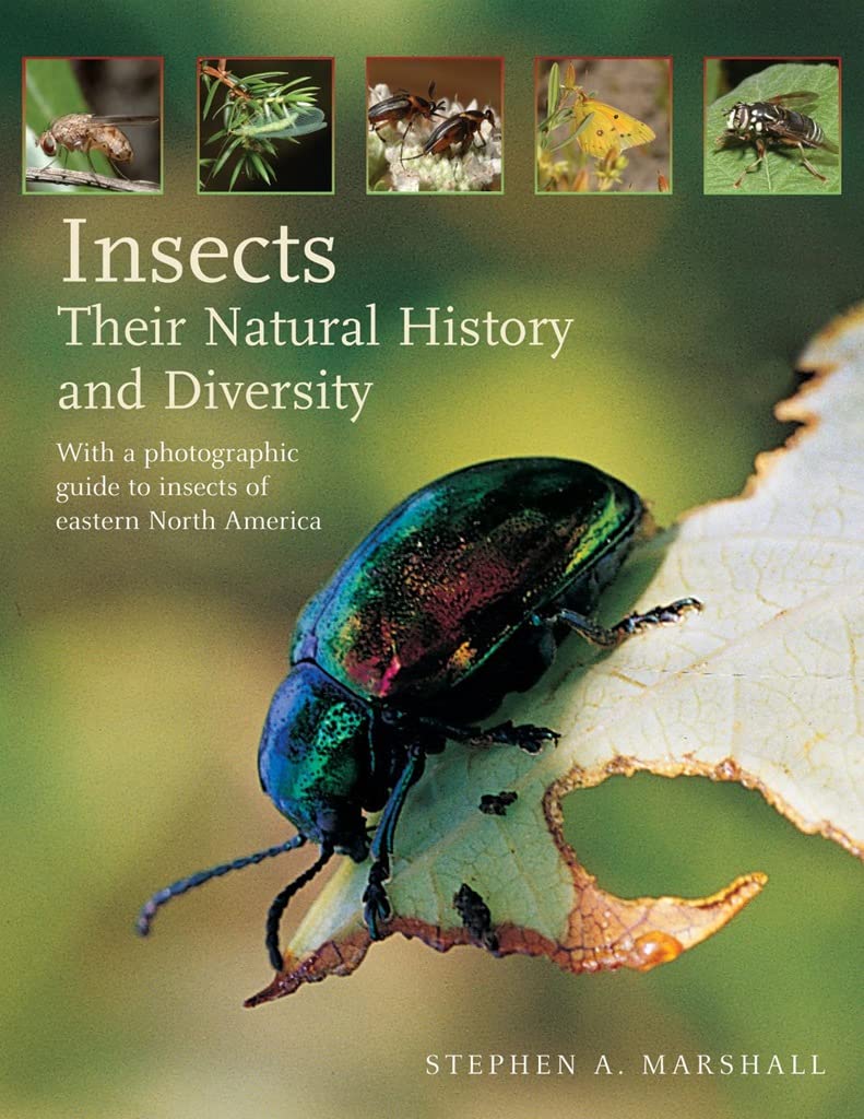 USED Insects: Their Natural History and Diversity (Marshall)
