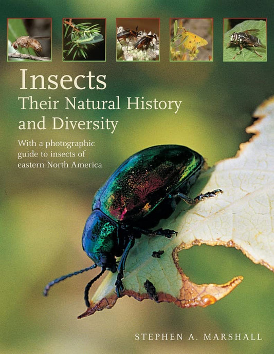 USED Insects: Their Natural History and Diversity (Marshall)