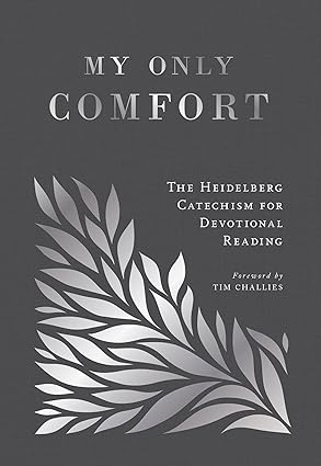 My Only Comfort (hardcover)