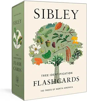 Sibley Tree Identification Flashcards