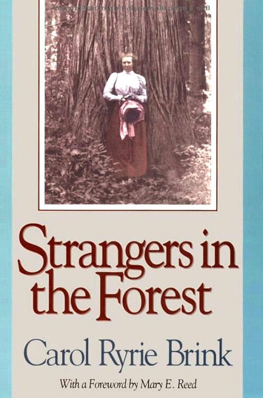 Strangers in the Forest (Brink - paperback)
