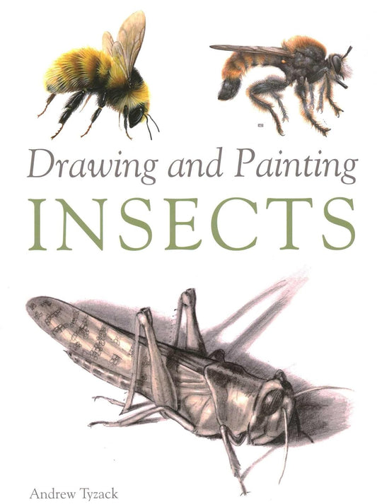 Drawing and Painting Insects (Tyzack - paperback)