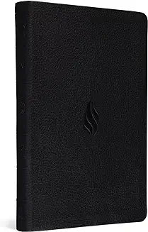 ESV Premium Gift Bible (TruTone, Midnight, Flame Design)