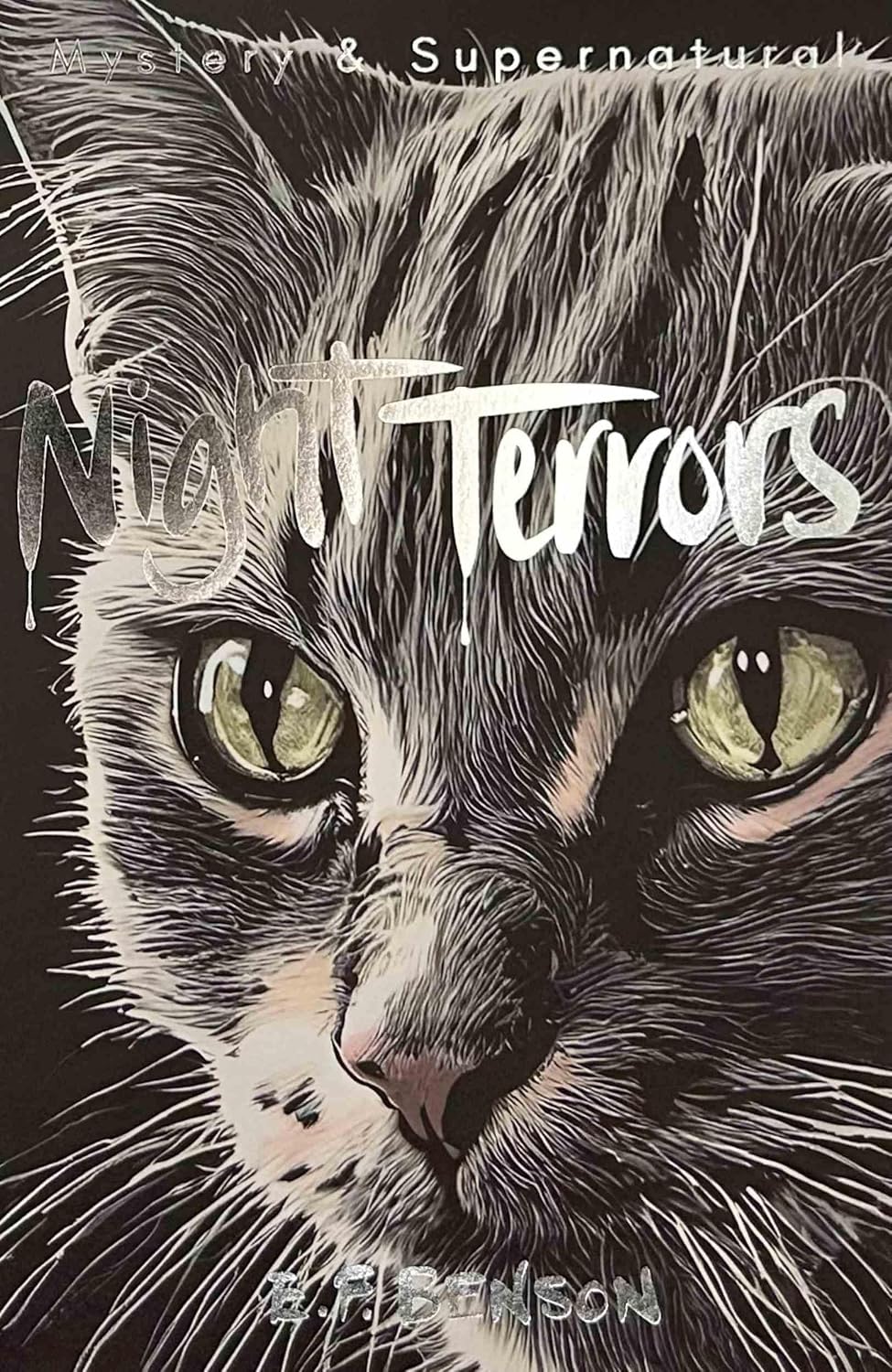 Night Terrors: The Ghost Stories of E.F. Benson (Wordsworth ed.)