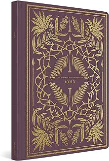 John (ESV Illum. Scripture Journal)