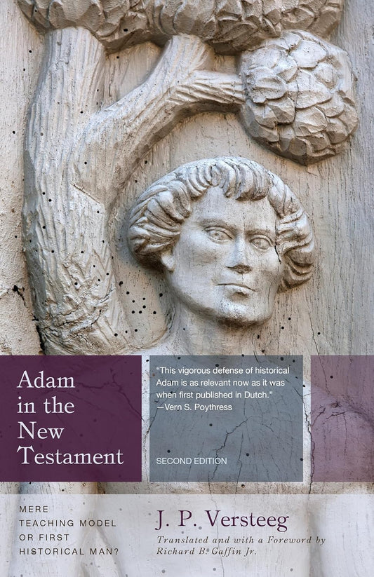 Adam in the New Testament (Versteeg)