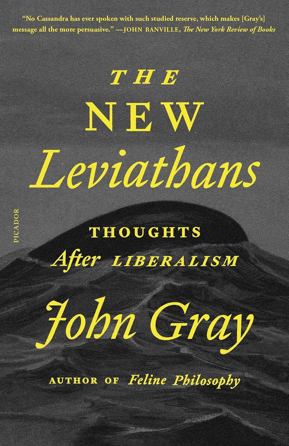 New Leviathans (Gray - paperback)