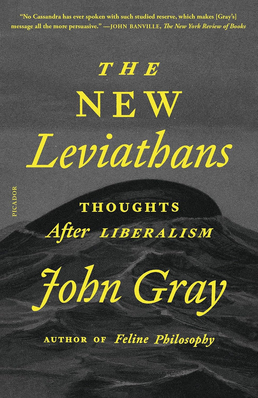 New Leviathans (Gray - paperback)