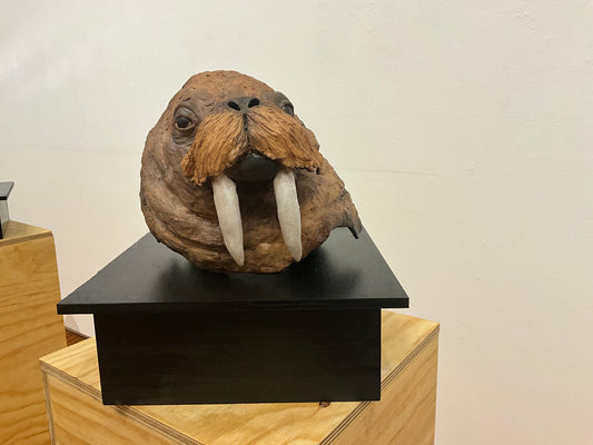 Walrus