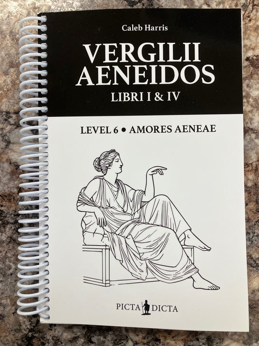 Vergilii Aeneidos: Libri I & IV