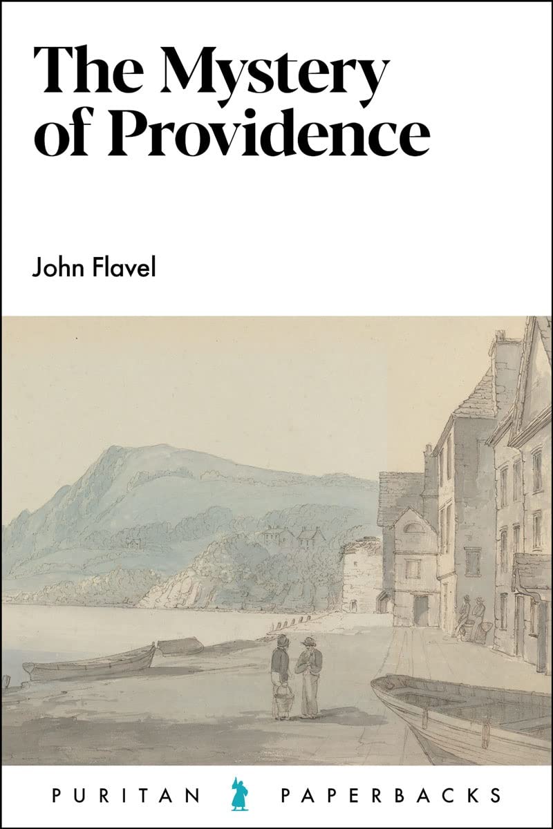 Mystery of Providence (Flavel - paperback)