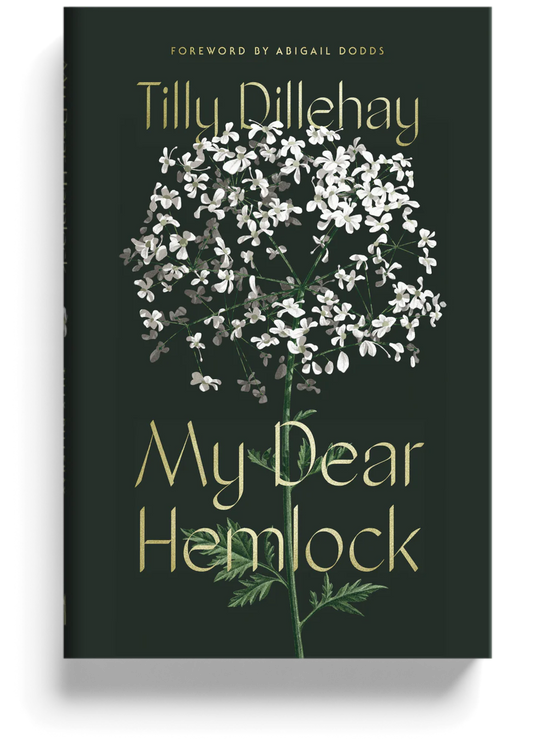 My Dear Hemlock (Dillehay)