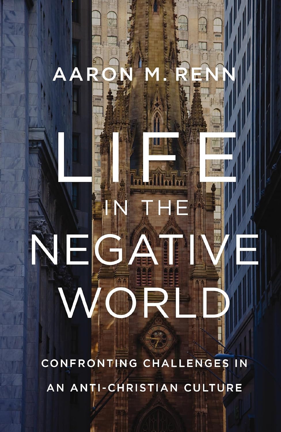 Life in the Negative World (Renn - hardcover)