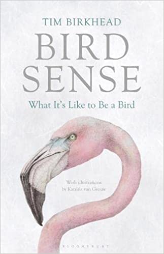 Bird Sense: What It's Like to Be a Bird (Birkhead)