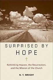 Surprised by Hope (Wright - hardcover)