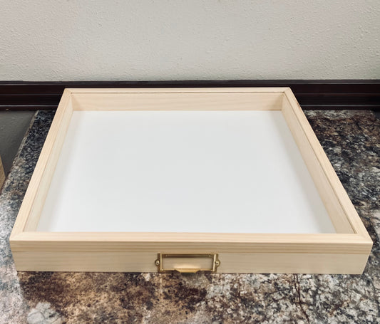 Insect Drawer: 19" x 17" (with plastazote)