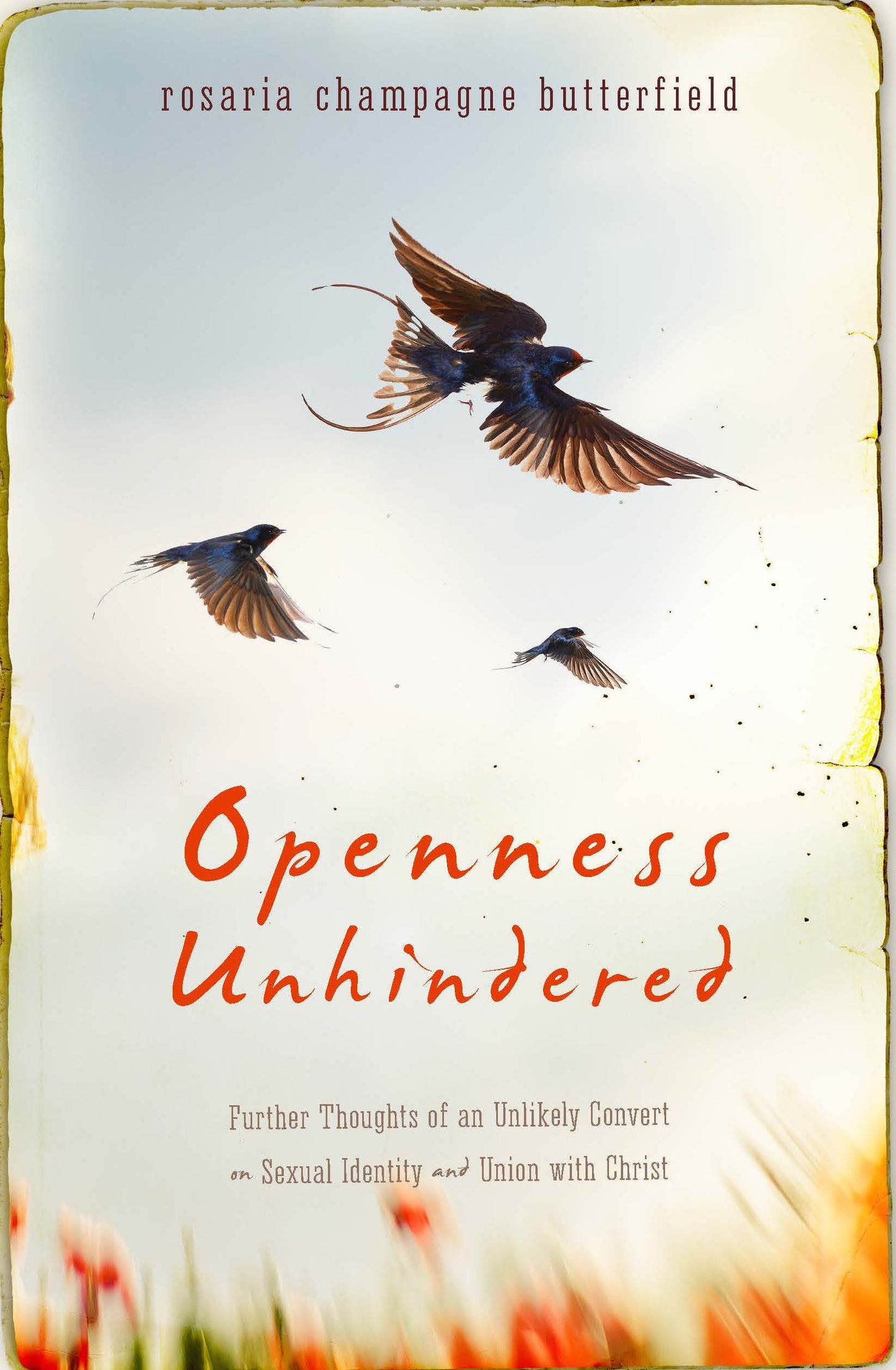 Openness Unhindered (Butterfield - paperback)