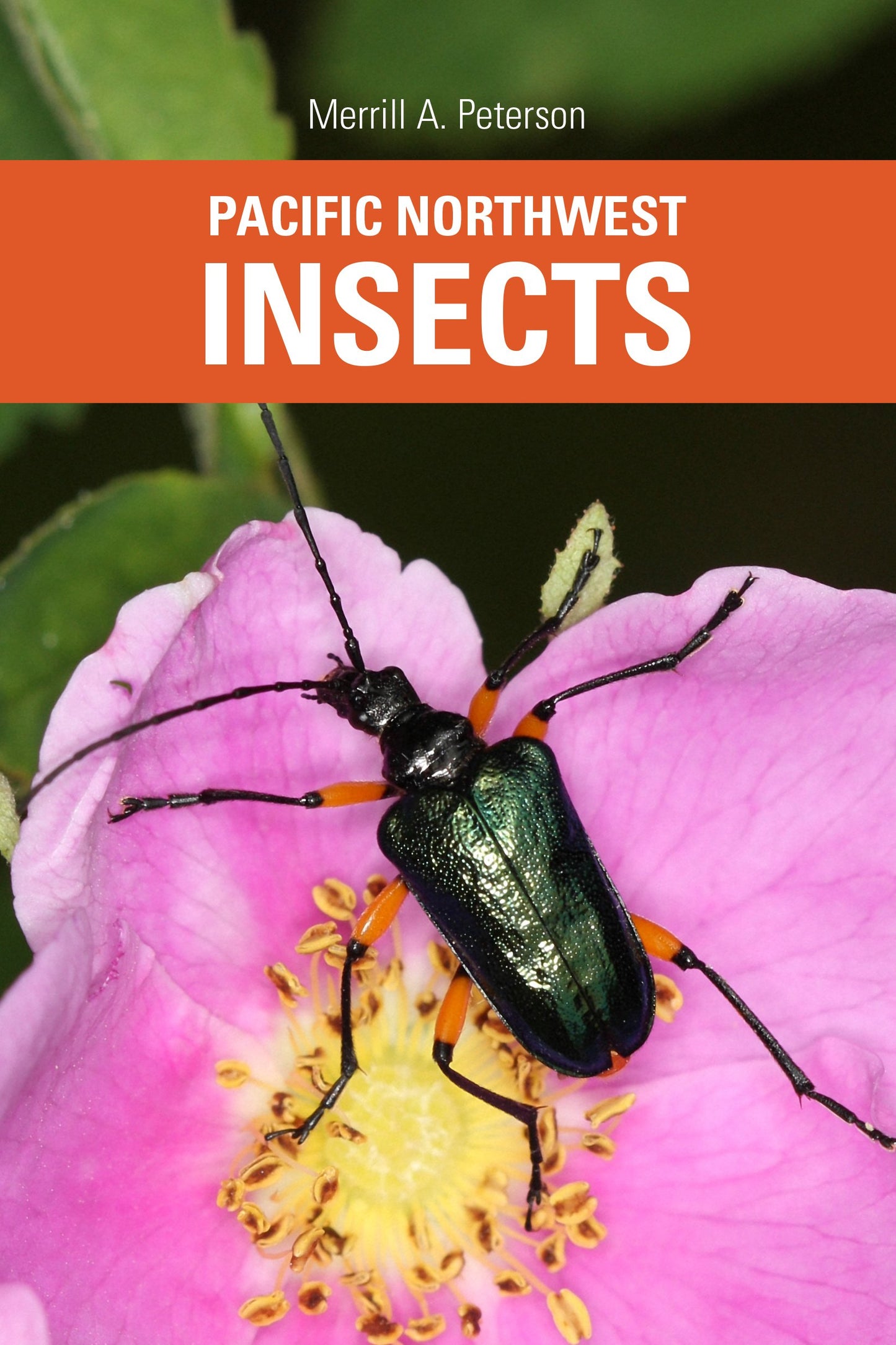 Pacific Northwest Insects (Peterson - paperback)